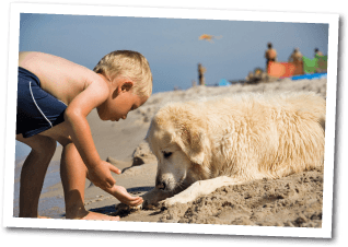 Foto - Junge mit Hund am Strand